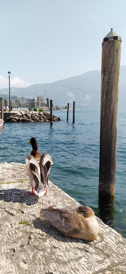 Riva Del Garda Nest Διαμέρισμα Εξωτερικό φωτογραφία